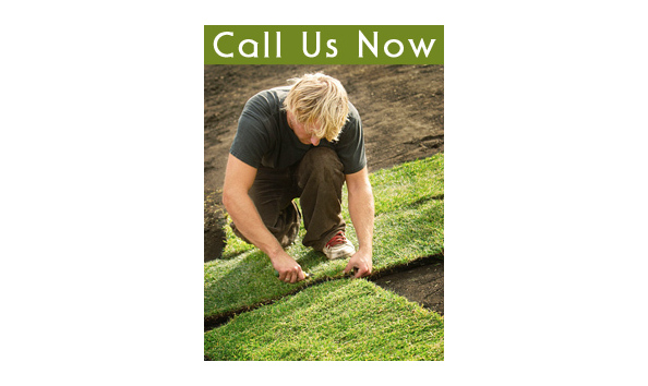 Big image eddies sod2