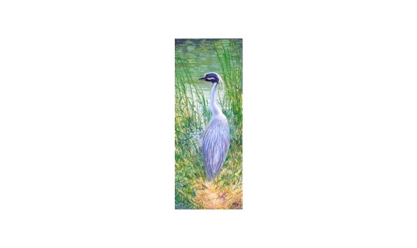 Big image bird giclees
