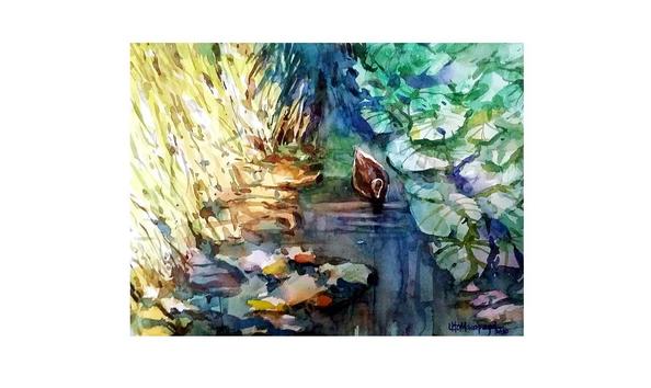 Big image lone duck at garden city park