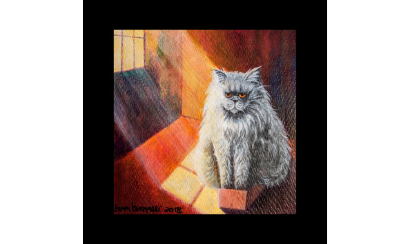 Big image template recovered71a