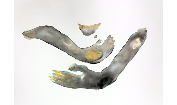 Big image a3e88365 ab7b 4601 8398 764949f97a3d