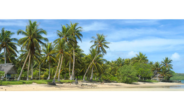 Big image mini magick20241113 1170 450437