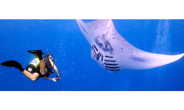 Big image mini magick20241113 1170 qr7o5b