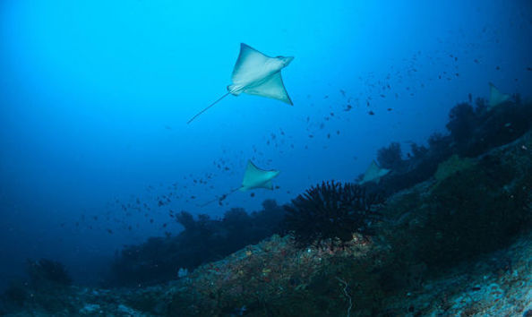 Big image mini magick20241113 1170 f6cby5