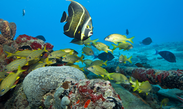 Big image mini magick20241113 1170 1nyjude