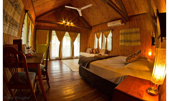 Big image mini magick20241113 1170 1qyx7lz