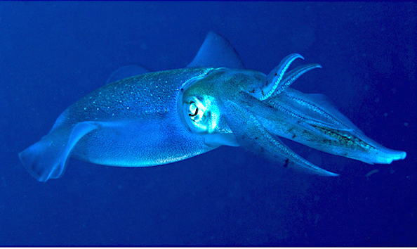 Big image mini magick20241113 1170 1ktklnh