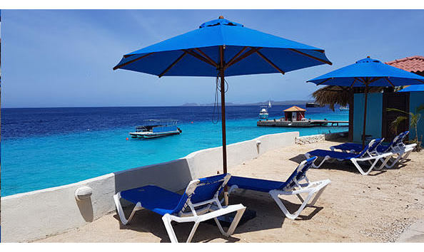 Big image mini magick20241113 1170 101x7l9