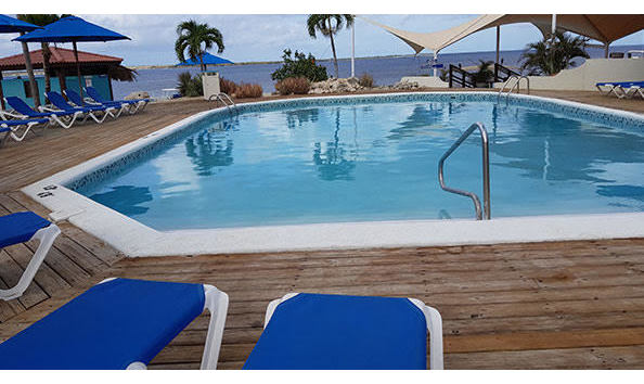 Big image mini magick20241113 1170 t5u83b