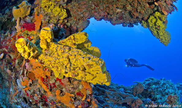 Big image mini magick20241113 1170 1nrfwej