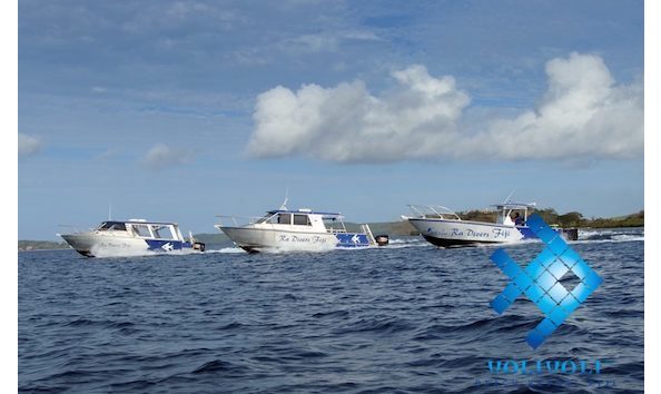 Big image mini magick20241113 1170 1tecf4b