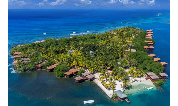 Big image mini magick20241113 1170 1dnl41m