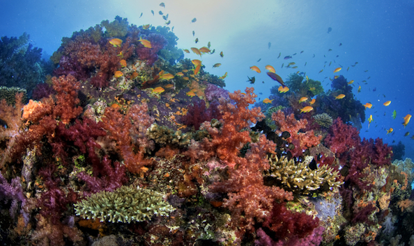 Big image mini magick20241113 1170 1rarb92