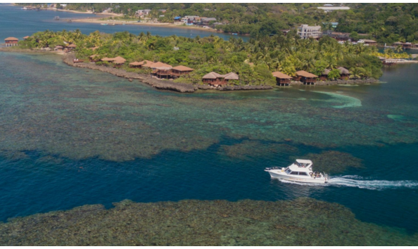 Big image mini magick20241113 1170 1s3qw68