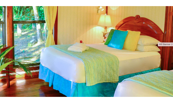 Big image mini magick20241113 1170 3zbnvn