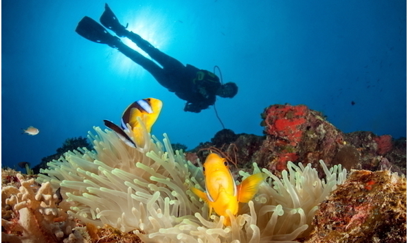 Big image mini magick20241113 1170 1bvsniz