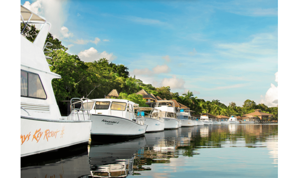 Big image mini magick20241113 1170 15f0cyc