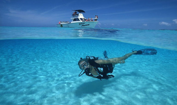 Big image mini magick20241113 1170 1gy67x2