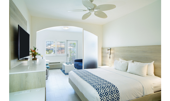 Big image mini magick20241113 1170 q380ks