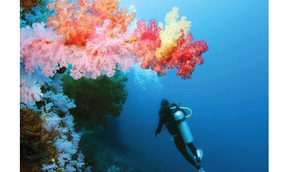 Big image mini magick20241113 1170 ks8qp6