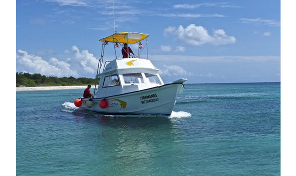 Big image mini magick20241113 1170 1ylarxn