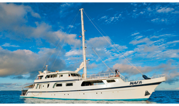 Big image mini magick20241113 1170 clh550