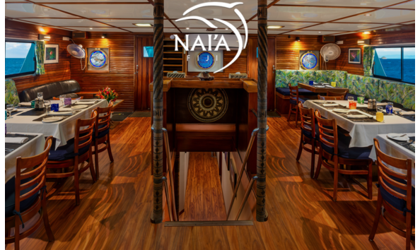 Big image mini magick20241113 1170 4pilcs