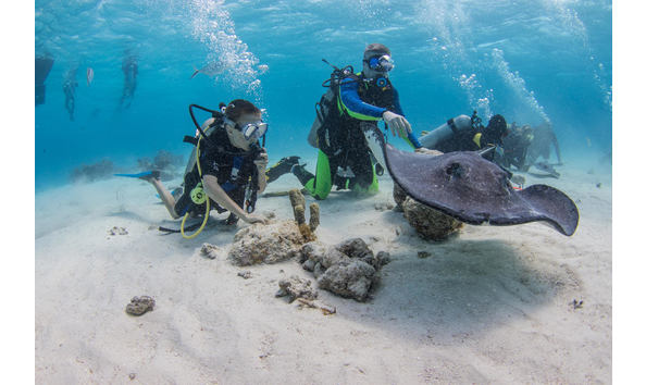 Big image mini magick20241113 1170 2sxw3