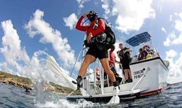 Big image mini magick20241113 1170 11s4hrk