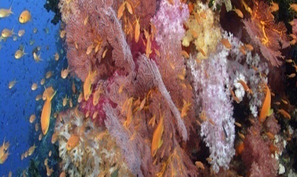 Big image mini magick20241113 1170 kjiwlw