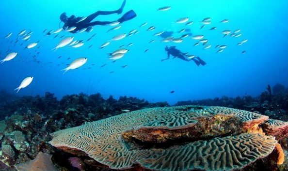 Big image mini magick20241113 1170 6popv2