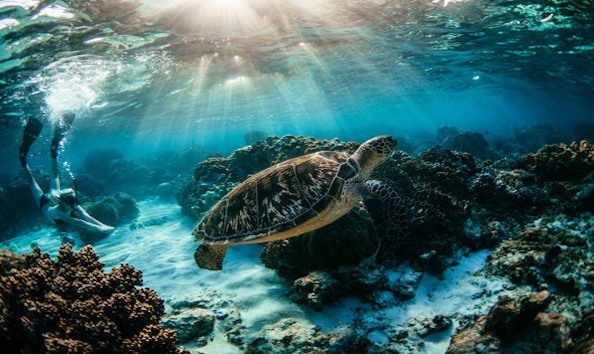 Big image mini magick20241113 1170 1ux05cg