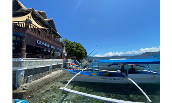 Big image mini magick20241113 1170 1z0rsuj