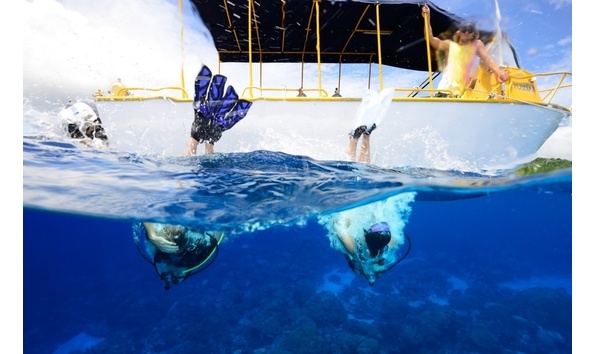 Big image mini magick20241113 1170 w4ygbk