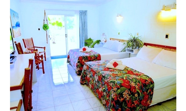 Big image mini magick20241113 1170 17866ds