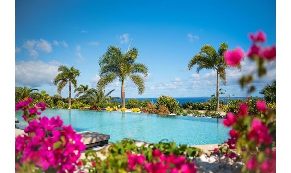 Big image mini magick20241113 1170 b7b1yo