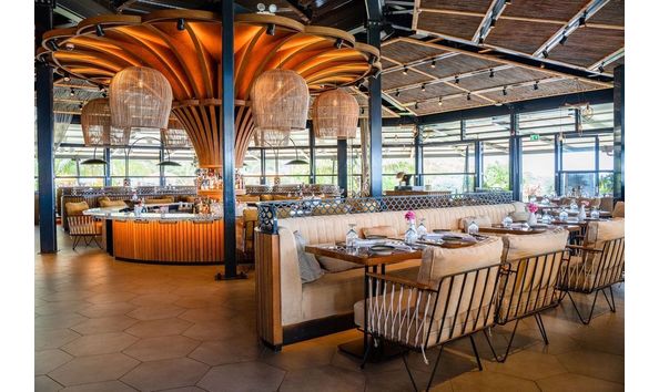 Big image mini magick20241113 1170 1hua60g