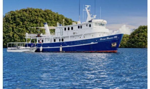 Big image mini magick20241113 1170 1ioahsw