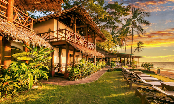 Big image mini magick20241113 1170 9iro5s