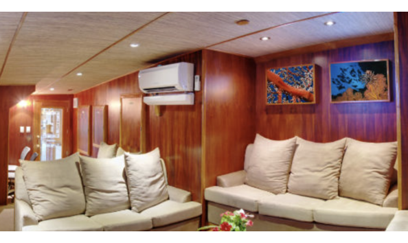 Big image mini magick20241113 1170 191g2wg