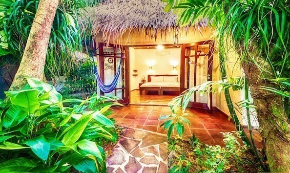 Big image mini magick20241113 1170 jiv79y