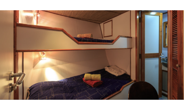 Big image mini magick20241113 1170 ki3qa0