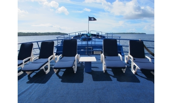 Big image mini magick20241113 1170 1qvsaxm