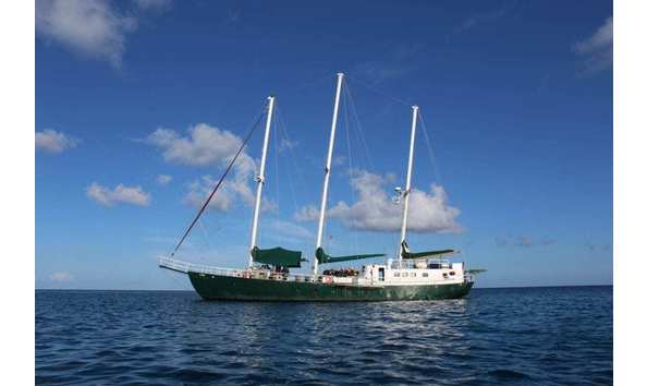 Big image mini magick20241113 1170 1q954gy