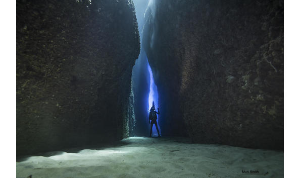 Big image mini magick20241113 1170 1mhe4xh