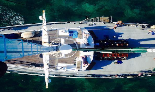 Big image mini magick20241113 1170 19ko8dy