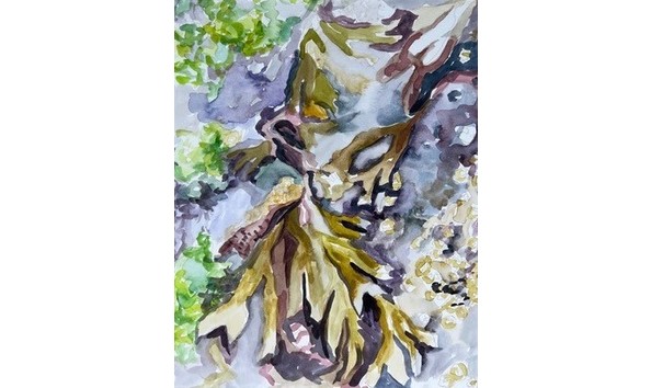 Big image juliepappajohn 2024 3