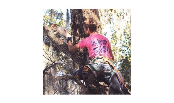 Big image jon davis1