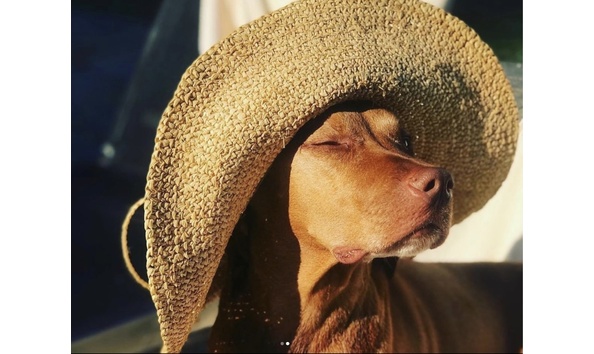 Big image squinted eyes actual1