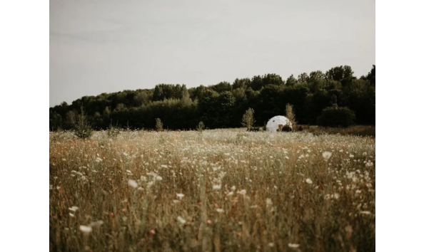 Big image exterior in field